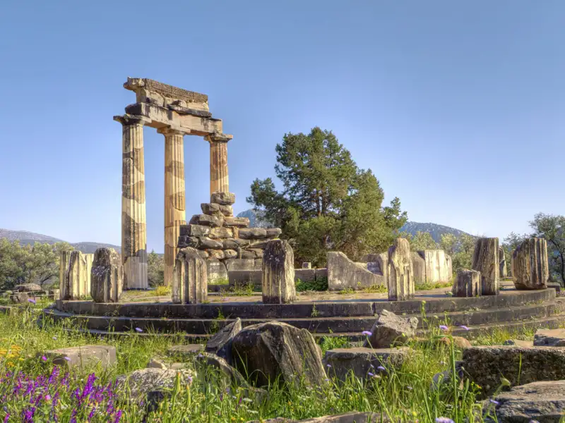 Auf unserer Gruppenreise mit Studiosus bewundern wir die Tholos von Delphi, ein zentraler Besichtigungspunkt, welchert ihre charakteristischen Säulen in einer grünen Landschaft unter blauem Himmel zeigt.