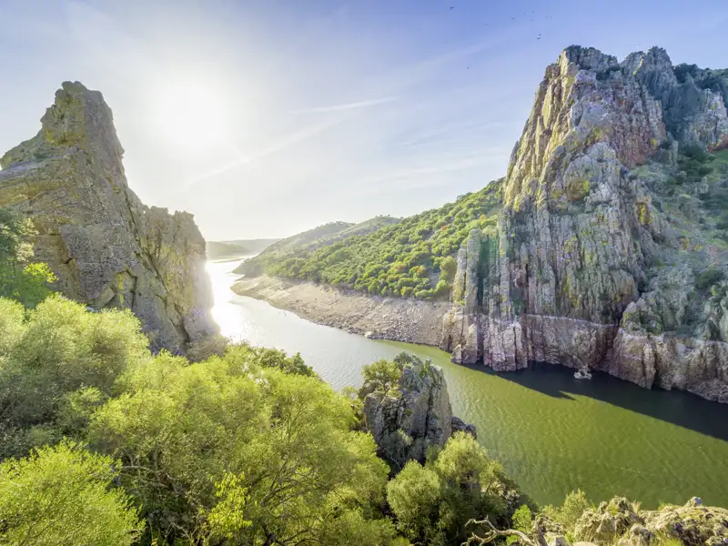 Auf unserer Rundreise mit Studiosus durch Kastilien und die Extremadura sind wir im Nationalpark von Monfragüe unterwegs, wo Geier und Adler majestätisch ihre Kreise über der unberührten Landschaft ziehen.