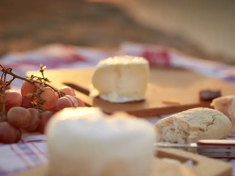Unser Picknick mit Schafskäse und heimischem Wein schmeckt im Schatten, begleitet vom Konzert der Zikaden, einfach göttlich! Eines der vielen schönen Erlebnisse auf unserer abwechslungsreichen Rundreise mit Studiosus.