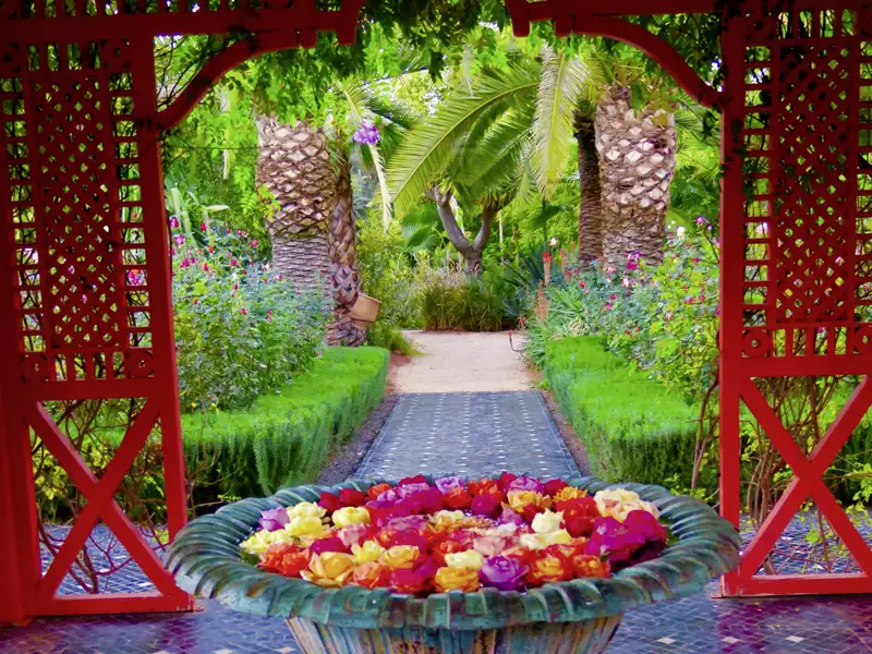 Auf unserer Gruppenreise mit Studiosus durch Marrakesch besuchen wir den Anima Garten und bestaunen einige bunte und interessante Pflanzen. Ein Highlight jeder Rundreise durch Marokko.