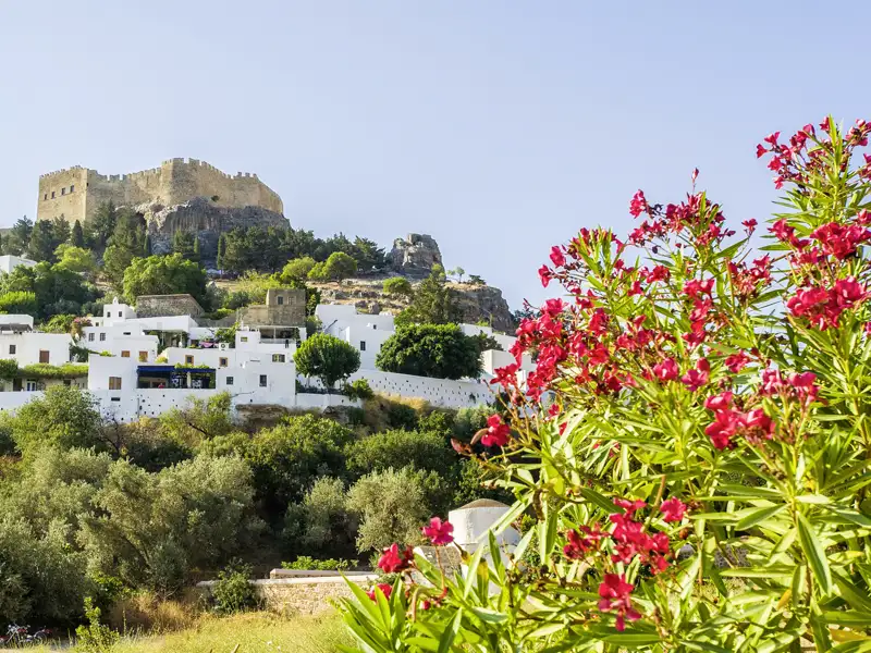 Die weißen Häuser von Lindos mit der darüber thronenden Akropolis sind eines der vielen Fotomotive auf unserer Gruppenreise mit Studiosus. Ein Höhepunkt jeder Rundreise mit Stop in Rhodos.