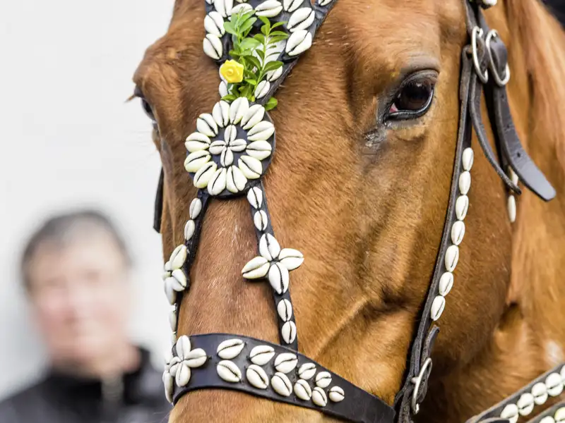 Auf unserer Eventreise beobachten wir geschmückte Pferde beim Osterreiten in Niederlausitz. Dies ist ein Highlight unserer Gruppenreise mit Studiosus zur Osterzeit.