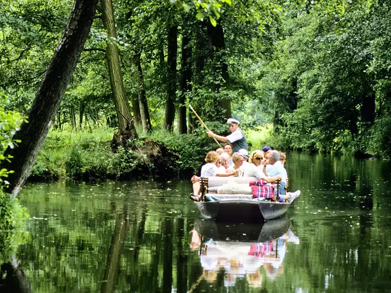 Auf unserer Gruppenreise mit Studiosus genießen wir die Natur bei einer Kahnfahrt im Spreewald bei der sie von einem Fährmann durch die idyllische Flusslandschaft geführt wird. Ein Highlight unserer Eventreise nach Brandenburg.