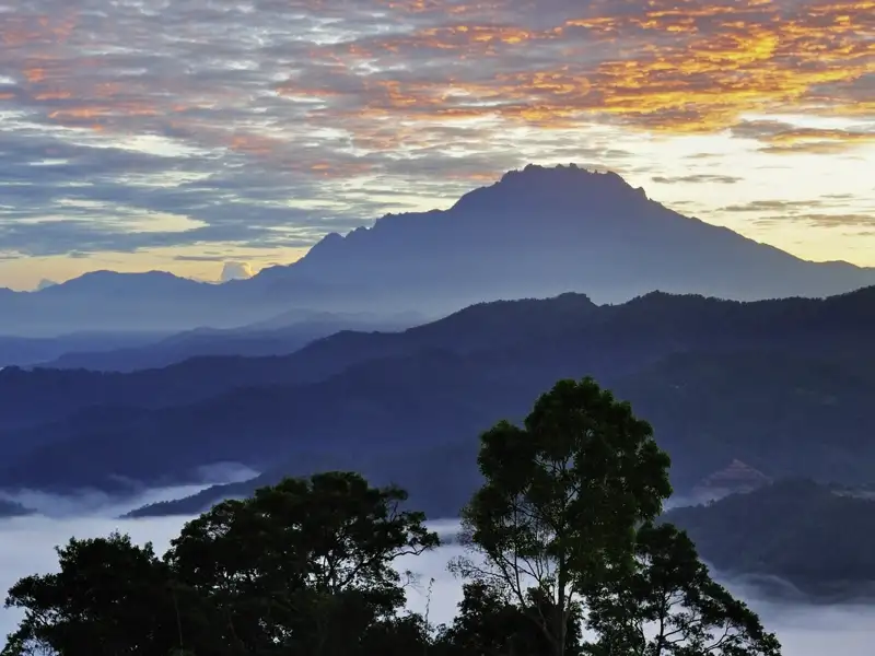 Auf unserer Gruppenreise mit Studiosus geniesen wir den Blick auf den majestätischen Mount Kinabalou bei Sonnenaufgang, bei dem die Gipfel malerisch aus einem Meer von Wolken ragen. Der höchste Berg Malaysias ist immer ein Highlight unserer Rundreise.