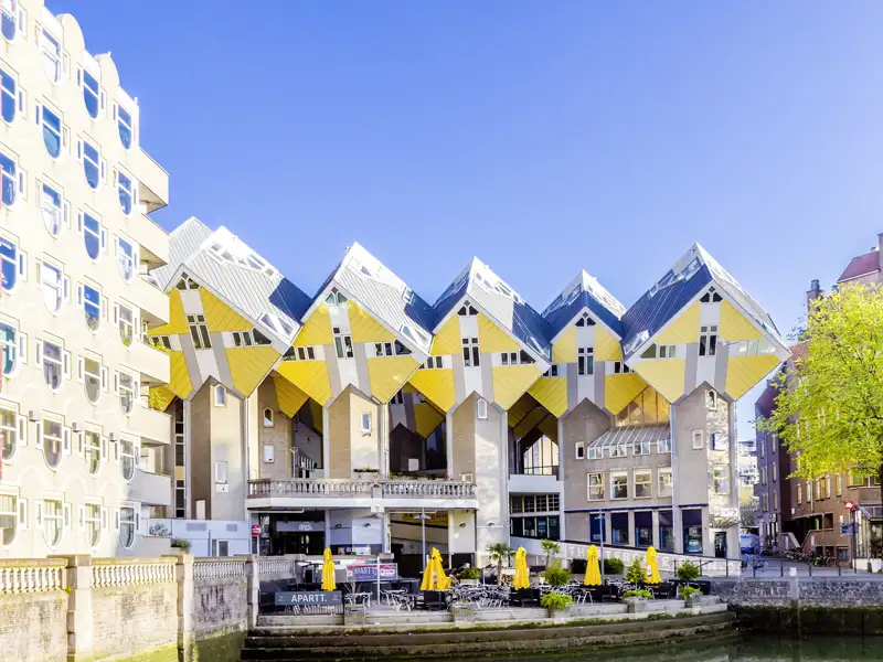 Blick auf die würfelförmige Architektur der gelben Kubushäuser in Rotterdam, ein Highlight der Studienreise in den Niederlanden.
