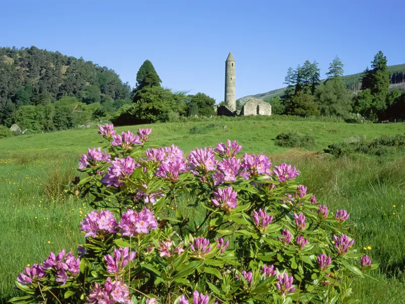 Auf unserer Rundreise mit Studiosus bewundern wir den historischen Rundturm der Klosteranlage von Glendalough, Irland.