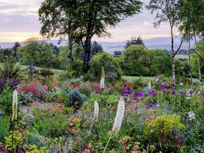 Auf unserer Rundreise mit Studiosus bewunder wir die üppigen und  bunten Staudengarten mit Blick auf die sanften, grünen Hügel des Hunting Brook Gardens in Irland bei Dämmerung.