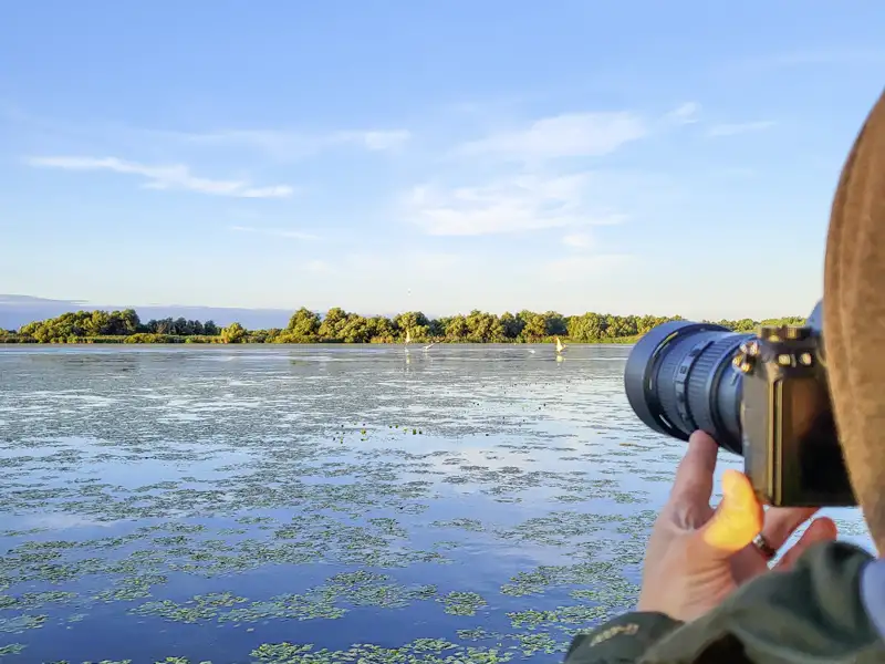 Während der Rundreise mit Studiosus durch Rumänien erobern wir die Wasserwildnis des Donaudeltas auf mehreren Bootstouren.