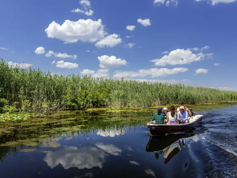 Auf unserer Gruppenreise mit Studiosus erkunden wir bei einer geführten Bootstour die schilfbewachsenen Kanäle des rumänischen Donaudeltas.