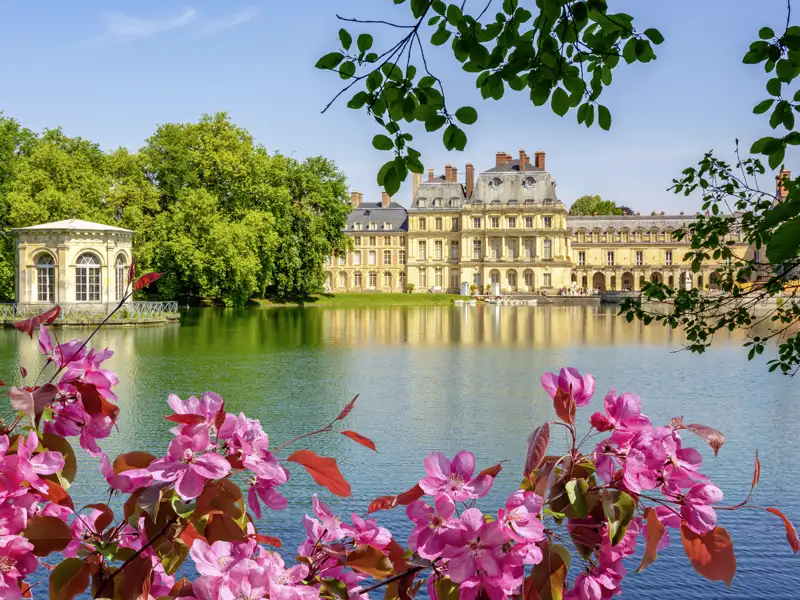 Malerischer Blick auf das Schloss Fontainebleau und seinen Karpfenteich, eingerahmt von leuchtend rosa Blüten am Ufer, welches wir auf unserer Gruppenreise mit Studiosus in die Normandie besuchen.