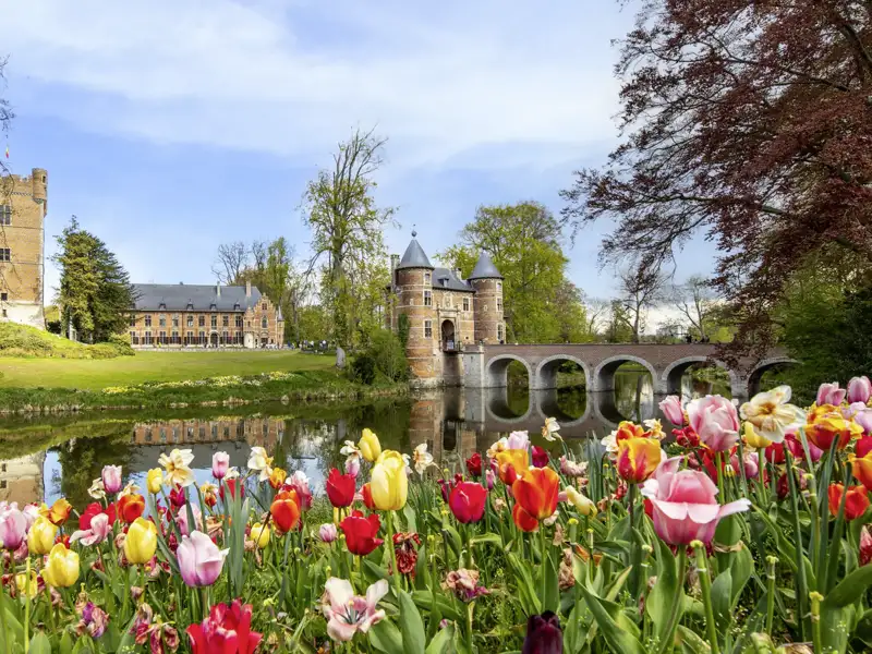 Auf unserer Rundreise durch Belgien mit Studiosus sehen wir farbenprächtige Tulpen mit Blick auf das Wasserschloss Groot-Bijgaarden bei den Brüsseler Floralien.