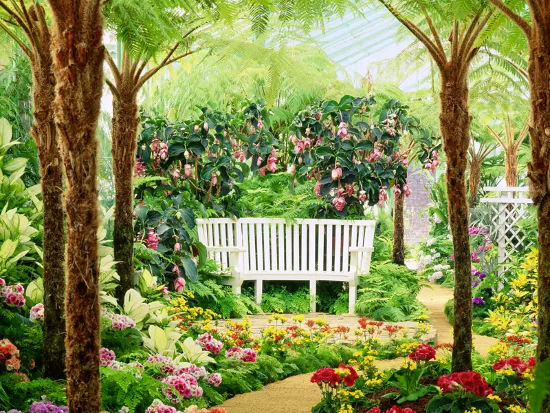 Auf unserer Gruppenreise mit Studiosus nach Brüssel laufen wir durch die Königlichen Gewächshäuser von Laeken, umgeben von üppigen tropischen Farnen und bunten Blumenbeeten.