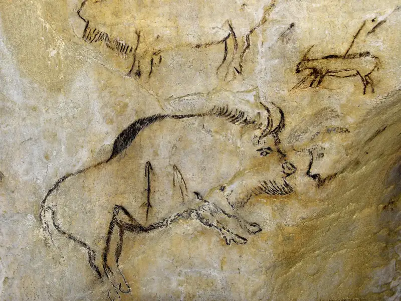 Prähistorische Höhlenmalereien von Tieren, darunter eines Bisons, in der Grotte von Niaux - eines der vielen Ziele auf unserer zehntägigen Studienreise in das Languedoc und ins Roussillon.