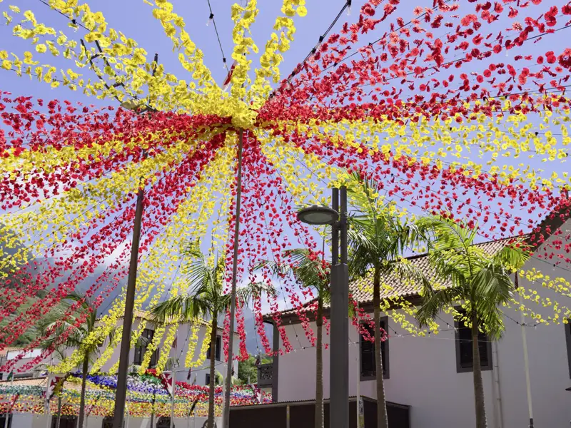 Auf unserer Gruppenreise mit Studiosus bewundern wir eine Straße in Funchal zum Blumenfest auf Madeira.