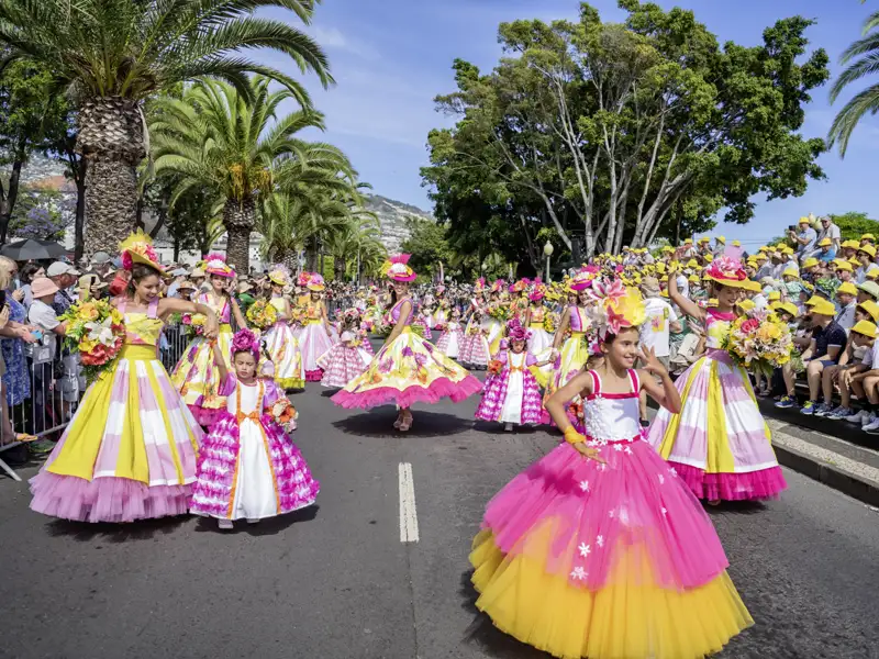 Auf unserer Gruppenreise mit Studiosus nach Madeira sind wir bei der Parade des Blumenfests in Funchal auf einer von Palmen gesäumten Straße.