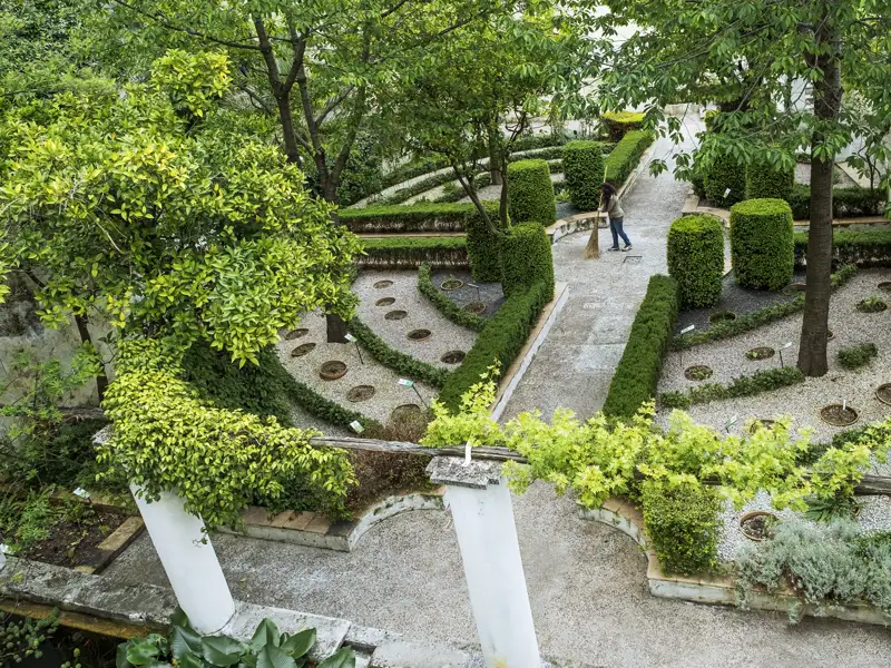 Auf unserer Studiosus Rundreise am Golf von Neapel beobachten wir eine Gärtnerin, welche den mittelalterlichen Lehrgarten Giardino della Minerva in Salerno mit geometrisch angelegten Beeten pflegt.
