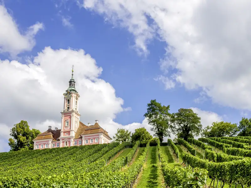 Die barocke Wallfahrtskirche Birnau mit ihrer rosa Fassade, ein schöner Anblick auf unserer Studiosus Rundreise zum Bodensee.