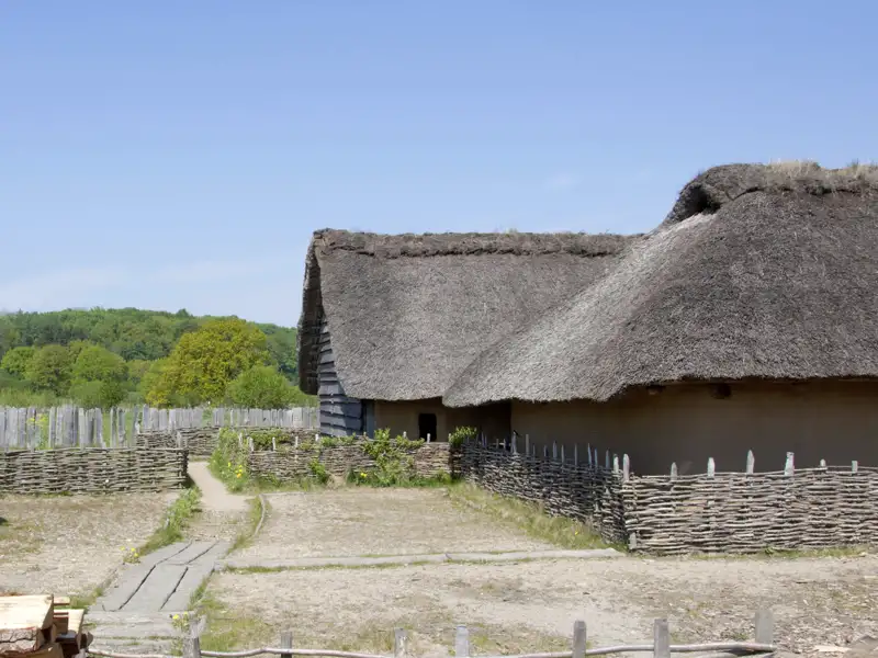 Rekonstruierte Wikingerhäuser mit Reetdächern und Weidenzäunen in der historischen Siedlung Haithabu, UNESCO-Welterbe, ein kulturelles Highlight unserer Rundreise mit Studiosus.