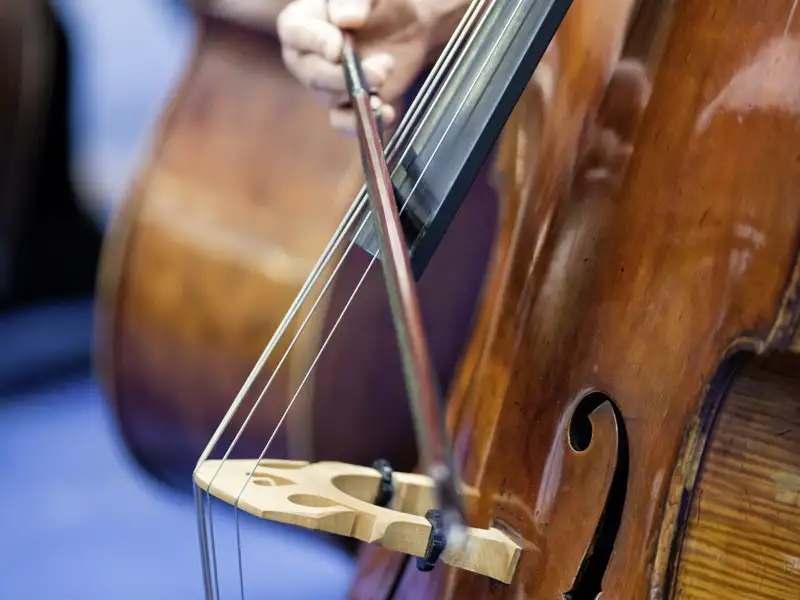 Detailaufnahme eines Cellisten, der sein Instrument spielt, als Beispiel für eine kulturelle Leistung, die im Rahmen der Eventreise angeboten wird.