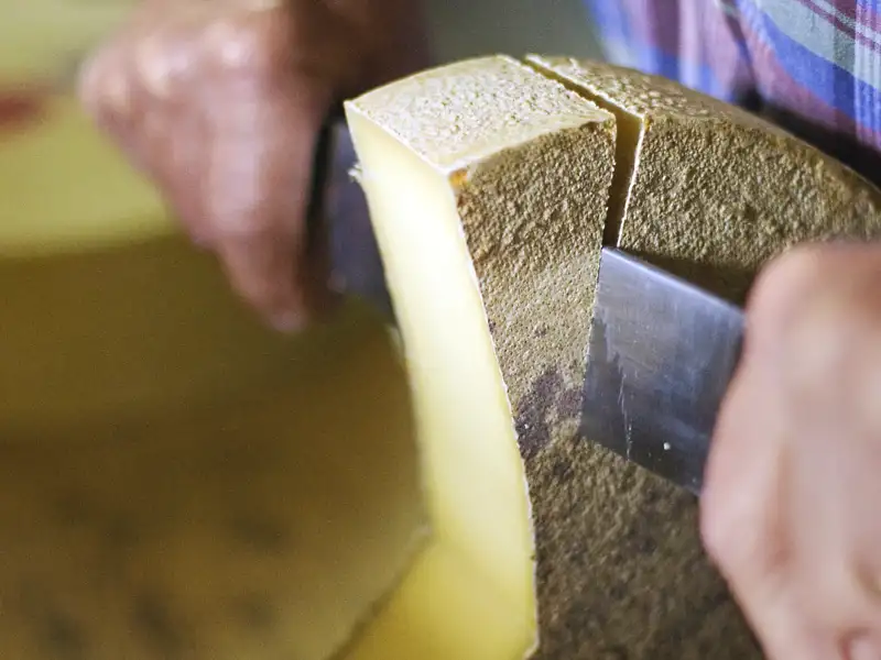 Auf dem Programm dieser acht- bzw. zehntägigen Studienreise durch die Schweizer Bergwelt stehen faszinierende Landschaften und kulinarische Highlights wie der Schweizer Käse.