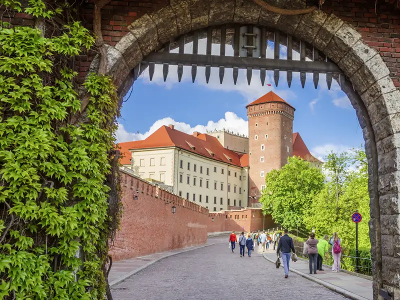 Eine Reisegruppe spaziert auf einer gepflasterten Straße durch ein historisches Burgtor zum Wawelschloss in Krakau, ein toller Anblick auf unserer Gruppenreise mit Studiosus nach Polen.