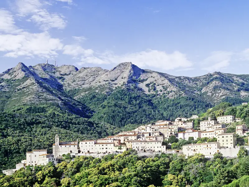 Das malerische Bergdorf Marciana auf Elba, eingebettet in grüne Wälder am Fuße des imposanten Monte Capanne unter blauem Himmel, ein toller Ausflug, den wir auf unserer Gruppenreise mit Studiosus genießen.