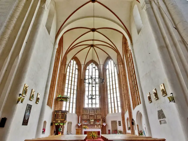 Innenansicht der Marienkirche in der Zisterzienserabtei Kolbacz mit hohem Kreuzrippengewölbe aus Backstein und gotischen Fenstern, ein Highlight unserer Gruppenreise mit Studiosus nach Polen.