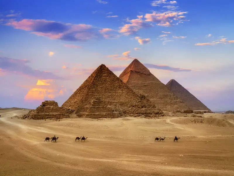 Die Pyramiden von Gizeh in Ägypten bei Sonnenuntergang mit Kamelen im Vordergrund.