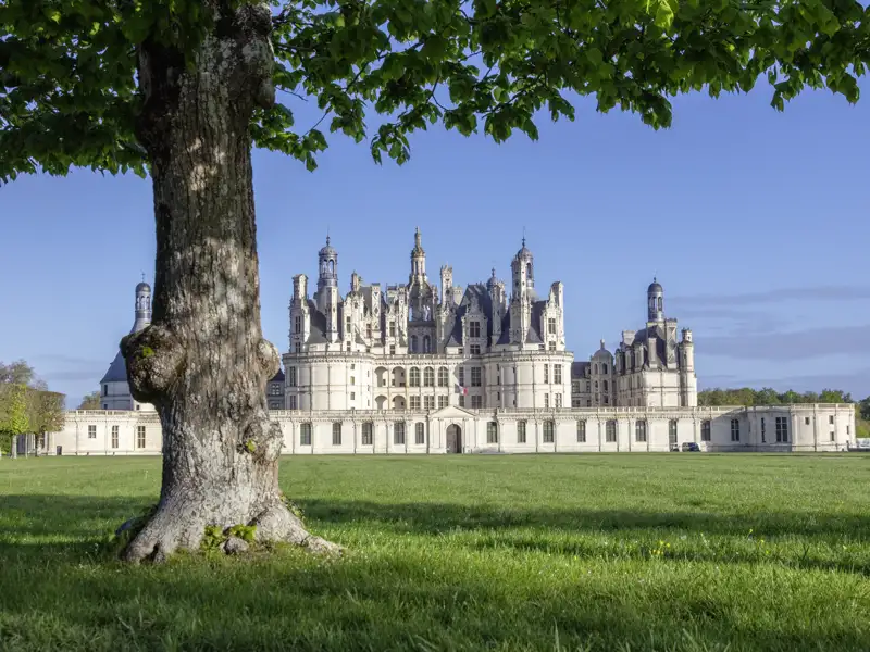 Das größte der Loireschlösser, Chambord, darf auf keiner Studienreise in diesen Teil Frankreichs fehlen. Fragen Sie Ihren Studiosus-Reiseleiter, warum ihnen bei der Besichtigung immer wieder ein Salamander "begegnet".