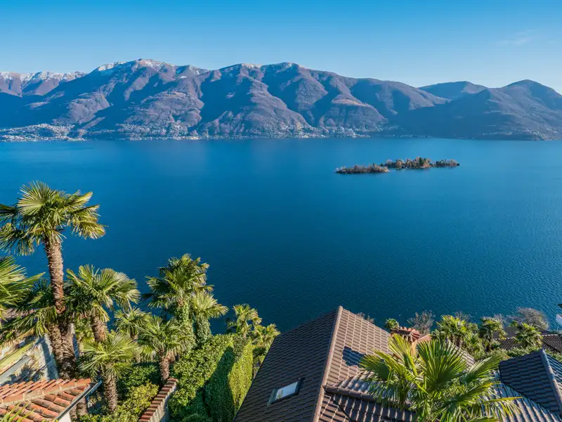 Erhöhter Ausblick über grüne Palmen auf die Brissago-Insel im Lago Maggiore vor der Kulisse der Tessiner Alpen, während unserer Gruppenreise mit Studiosus.