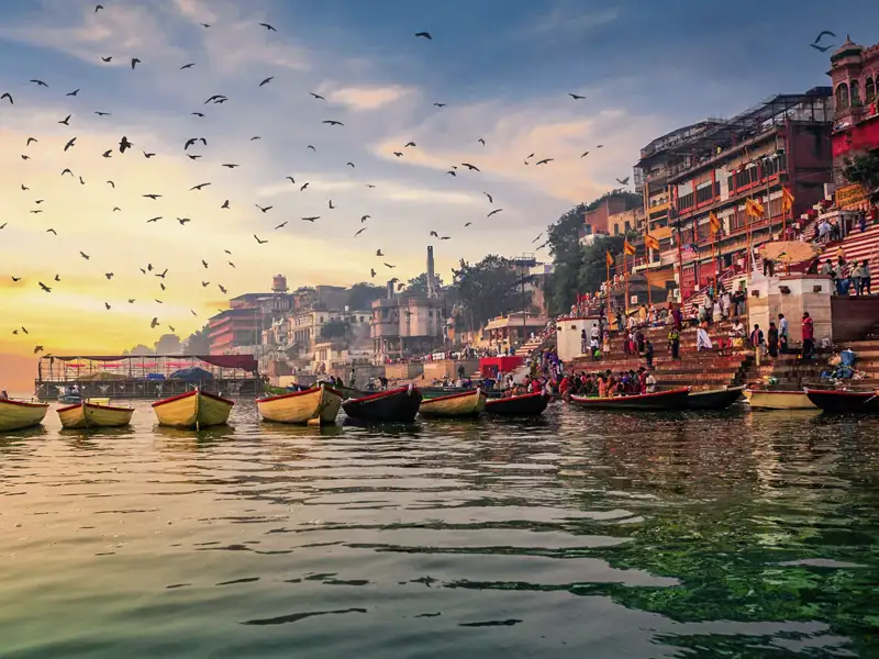 Holzboote auf dem Ganges vor den historischen Ghats von Varanasi bei Sonnenaufgang, am Himmel fliegen zahlreiche Vögel, ein toller Anblick auf unserer Gruppenreise mit Studiosus.