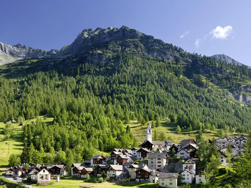 Auf unserer Gruppenreise mit Studiosus bewundern wir ein typisches Bergdorf im Maggiatal im Tessin mit Steinhäusern und Kirchturm vor einem dicht bewaldeten Berghang.