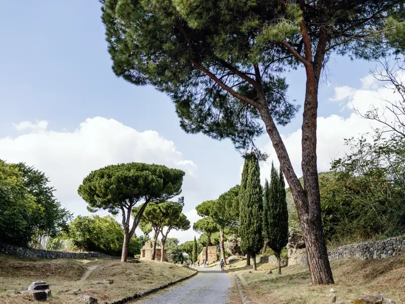 Ein romantisches Highlight Ihrer Eventreise in Rom: die von Bäumen umsäumte Via Appia.