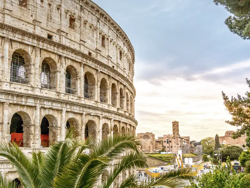 Betrachten Sie die antike Fassade des Kolosseums in Rom, im Vordergrund grüne Palmen, im Hintergrund die Ruinen des Forum Romanum auf Ihrer Studiosus-Gruppenreise.