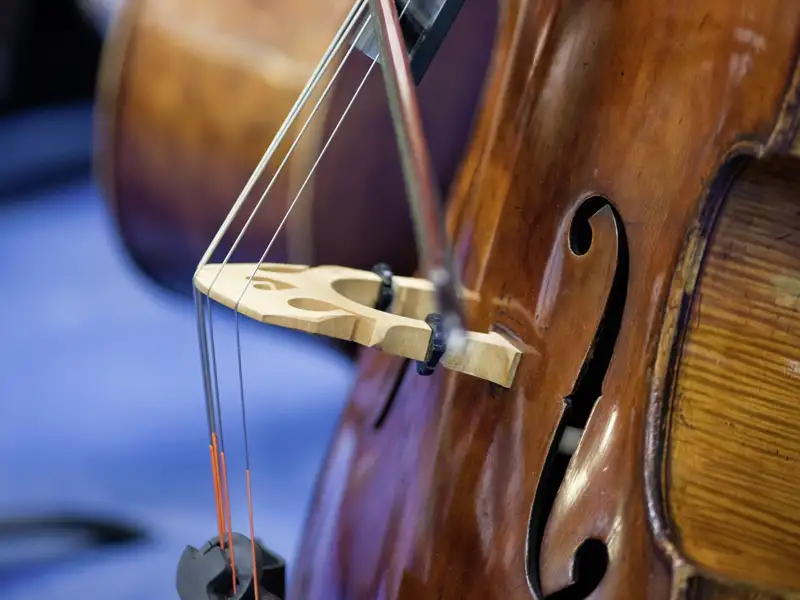 Detailaufnahme eines Cellisten, der sein Instrument spielt, als Beispiel für ein Konzert, das im Rahmen der Eventreise angeboten wird.