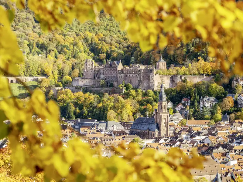 Sie dürfen auf ihrer Studiosus Eventreise den Panoramablick vom Philosophenweg auf das Heidelberger Schloss und die Altstadt genießen.