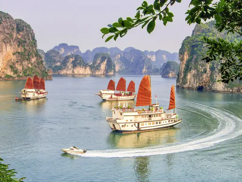Auf unserer Studienreise mit Flair durch Vietnam führt uns der Weg auch in die Halongbucht, wo wir die traditionellen Boote, die Dschunken, bewundern können.