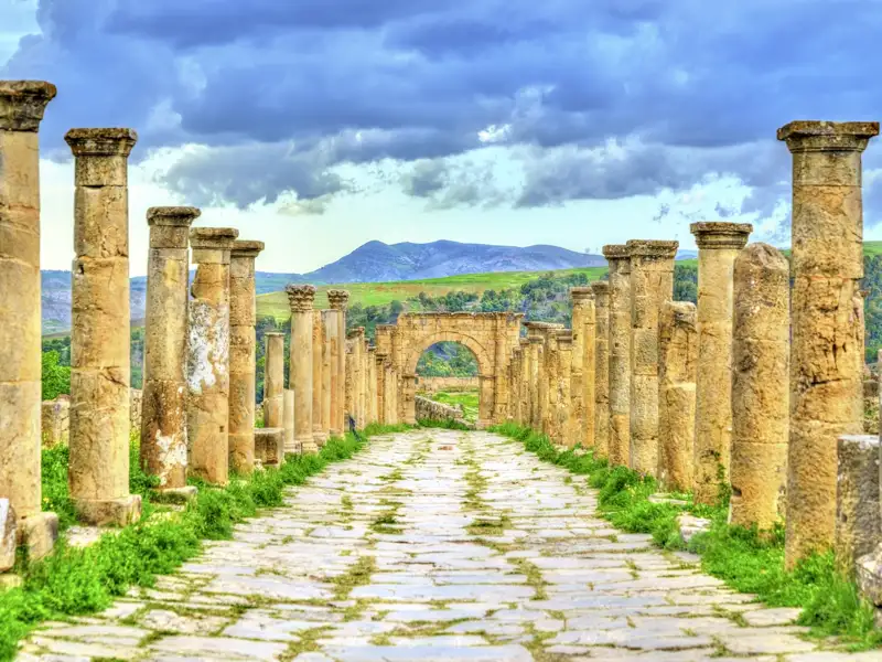 Gepflasterte Säulenstraße in der antiken Römerstadt Djemila, UNESCO-Welterbe in Algerien, mit grünen Bergen im Hintergrund, Auf ihrer Studiosus Eventreise zu besichtigen.