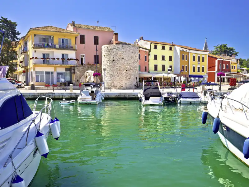 Sonnige Ansicht des malerischen Hafens von Novigrad in Istrien mit Jachten und bunten Altstadthäusern an der Adria, zu sehen auf unserer Studiosus Eventreise.