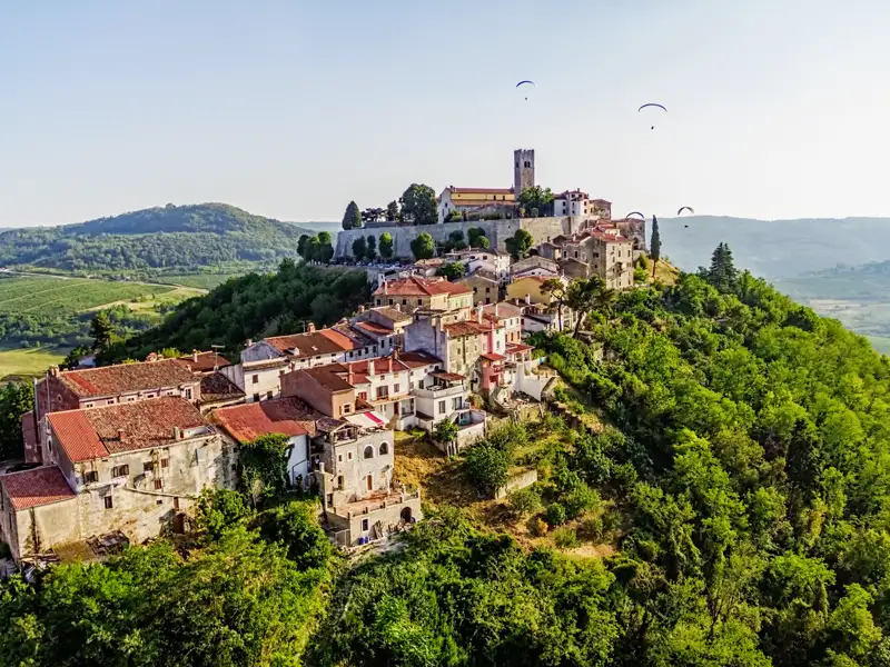 Sehenswert: Die mittelalterliche Stadt Motovun auf einem grünen Hügel in Istrien. Ein wunderschöner Anblick für unsere Studiosus Eventreise.