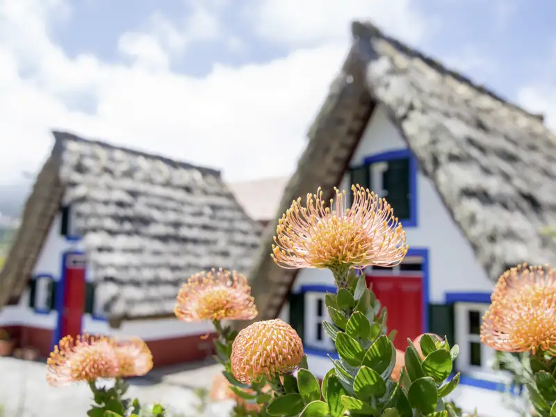 Auf unserer Studienreise durch Madeira lernen wir Land und Leute der schönen Insel kennen.