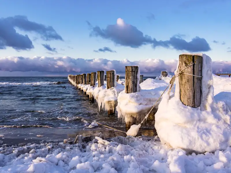 Entdecken Sie verschneite Holzpfähle an der Küste der Ostsee auf Ihrer Gruppenreise mit Studiosus.
