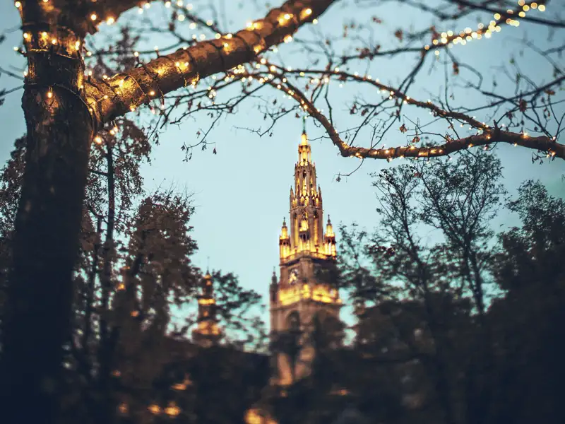 Stimmungsvoller Blick durch winterliche Äste mit Lichterketten auf den hell erleuchteten Turm des Wiener Rathauses.