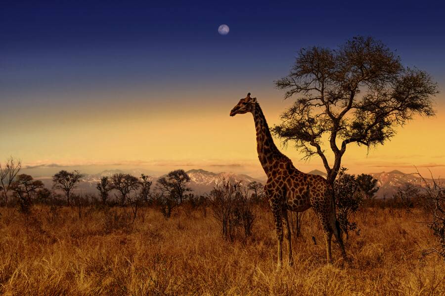 S&uuml;dafrika Impressionen 