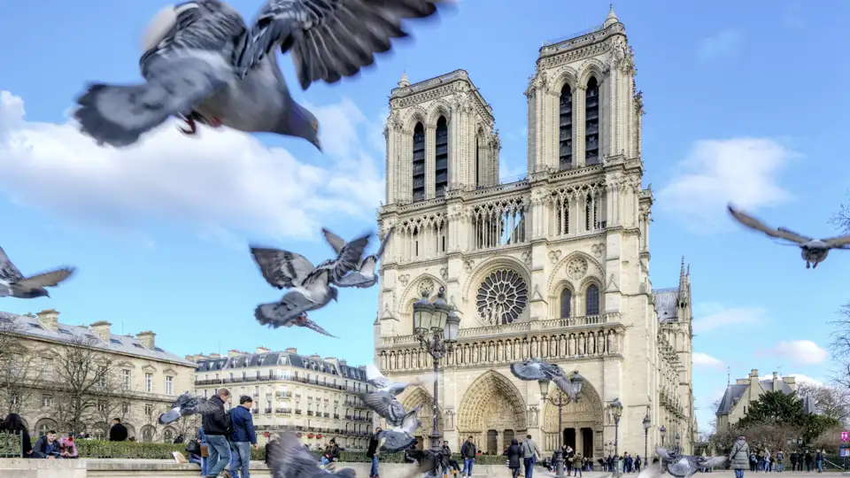 Kathedrale Notre-Dame in Paris mit Tauben auf dem Vorplatz