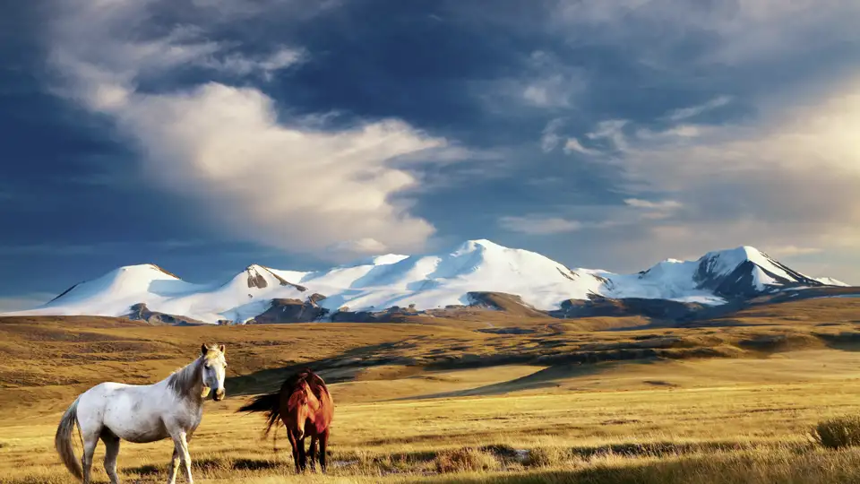 Auf Ihrer Expeditions-Rundreise durch die Mongolei erkunden Sie unter anderem von Jurtencamps aus Steppenlandschaften und Naturspektakel wie die Singenden Dünen und die Flammenden Klippen.