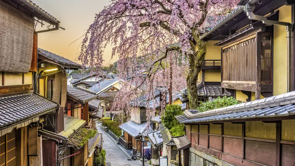 Diese 14-tägige Studienreise mit Muße  führt Sie nach Japan. In den Altstadtgassen von Kyoto können Sie  ins traditionelle Leben eintauchen.
