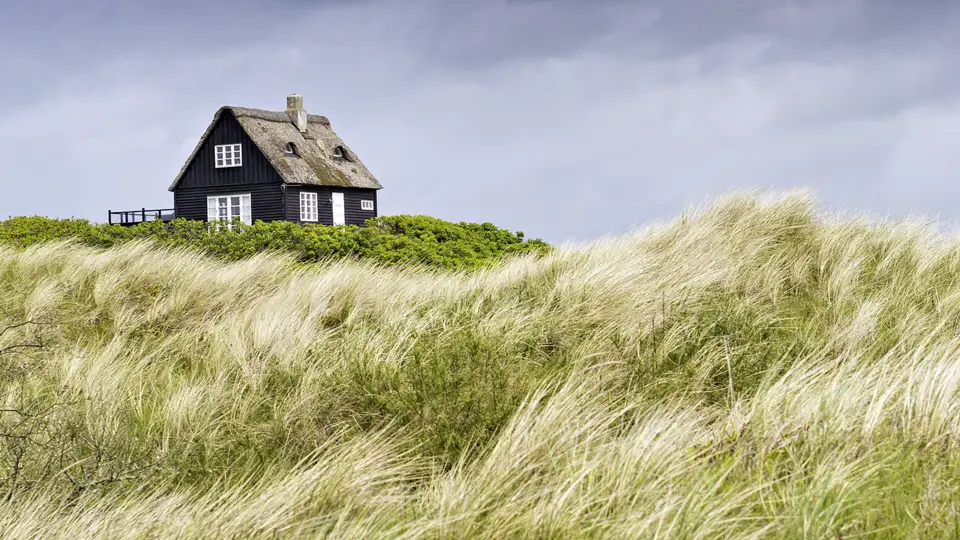 Auf unserer smart&small-Reise in die Niederlande kommt Urlaubsstimmung auf. Am Meer bei Scheveningen genauso wie in den faszinierenden Metropolen Amsterdam und Rotterdam