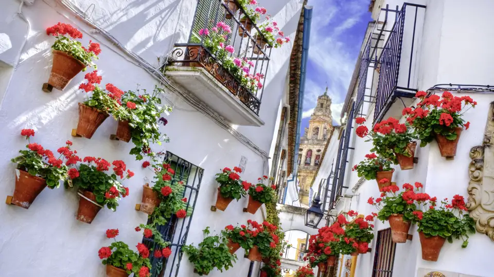 Córdoba mit seinen kleinen, malerisch geschmückten Gassen und Höfen ist eine der Stationen auf unserer smart & small-Reise durch Andalusien.