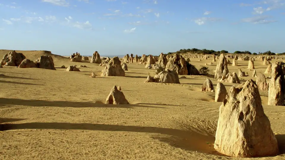 Oft heißt es auf unserer Studienreise Australien - die Große Australienreise: Vorhang auf für eine überwältigende Naturkulisse! So durchqueren wir endloses Buschland und bestaunen im Nambung-Nationalpark in Westaustralien die Pinnacles - Tausende von bizarren Steinsäulen, die aus dem Sand "wachsen".
